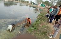 ग्राम विकास अधिकारी ने रहलई के तालाब की कराई सफाई, अब तालाब में डलेगी दवा  