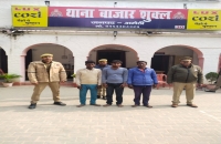 थाना बाजारशुकुल पुलिस द्वारा चोरी की 02 भैंस के साथ 03 अभियुक्त गिरफ्तार किया गया