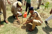 अपर पुलिस अधीक्षक ने वृक्षारोपण कर विश्व पर्यावरण दिवस का किया शुभारंभ