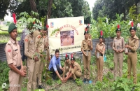 डॉ0 सीमा सिंह के संरक्षण में छायादार और औषधीय पौधों का पौधरोपण किया गया