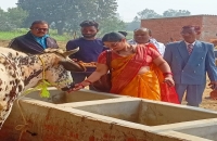 सुल्तानपुर से आई शाहिनूर ने राम लला दर्शन के बाद गौशाला का किया उद्घाटन