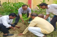 संंस्था प्रबंधक का वृक्षारोपण अभियान अनवरत जारी,सीएमओ के साथ किया वृक्षारोपण