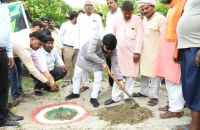 बीकापुर विधायक डा अमित सिंह चौहान ने वृक्षारोपण अभियान की शुरुआत किया