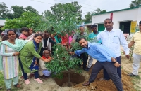 मुस्लिम समुदाय से जुड़ी शिक्षिका ने विद्यालय रोपित करवाया कल्पवृक्ष